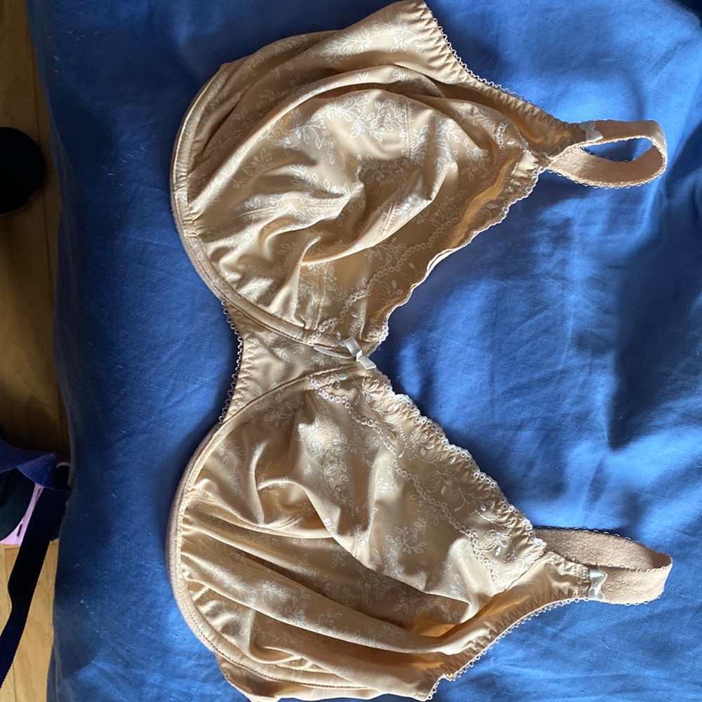 Elomi bra uk34hh us 34l